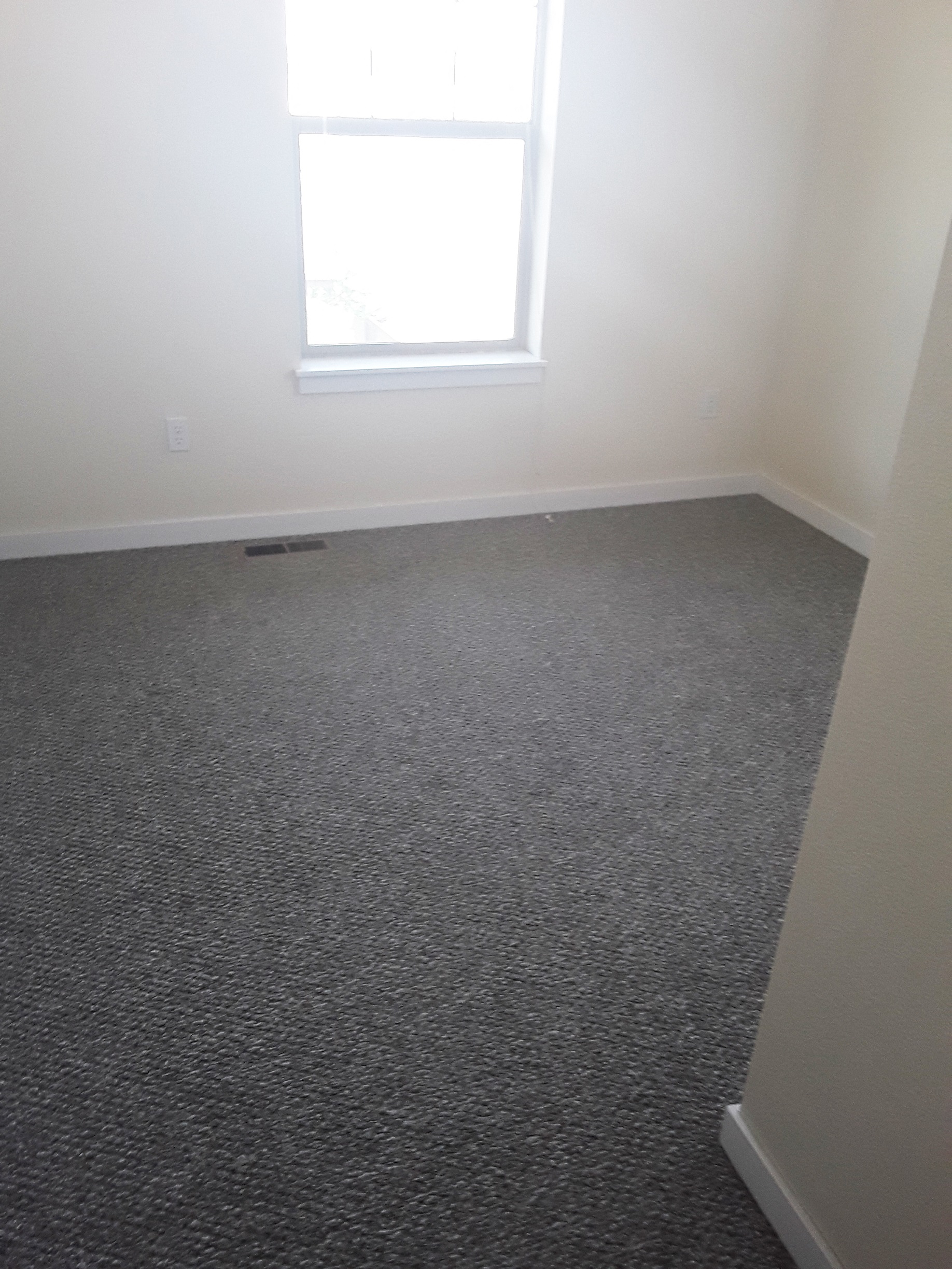 Bedroom with Carpet